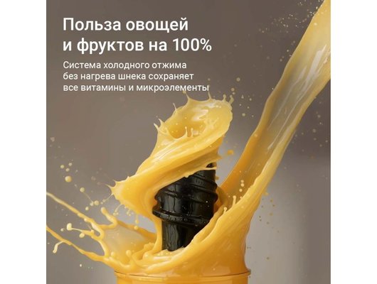 Шнековая соковыжималка РЕДМОНД J1420-4 серый